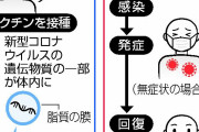 【ラムダ国内感染】厚労省は7月20日に〈ラムダ株を国内で発見〉したが、五輪閉会まで公表しないつもりだった❓❗