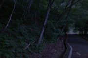 夜の山道怖すぎる・・・