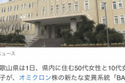 【画像】オミクロン株の新たな変異系統「バジリスク」の感染を初めて確認ｗｗｗｗｗｗ