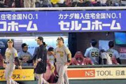 阪神タイガー、パ5位6位のチームに負け越してド派手に逝くWWWWWWWWWWWWWW