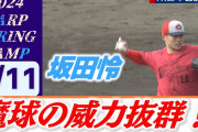 【朗報】広島カープにナックルだけで抑えてしまう投手が現れる