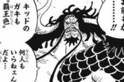 【悲報】ワンピース、覇王色の覇気持ちが多すぎる