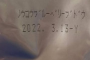 ちょうど一年前のフルーチェが出てきたんだが食べても大丈夫か？（※画像あり）