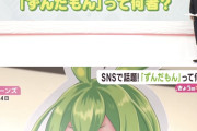 【画像】テレビで「ずんだもん」が特集→オタクが「よく知らないですけど」などとしらばっくれる
