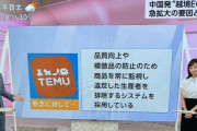 NHK 「TEMUはいいぞ 違反品の出品者は排除されるし常に品質向上してる」　懲りてねえじゃんこいつら