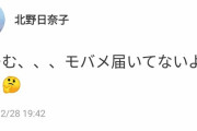 北野日奈子「うーむ、、、モバメ届いてないよね？」【乃木坂46】