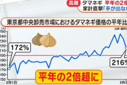 【悲報】 タマネギ高騰