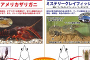 【悲報】ザリガニの飼育禁止へ。許可なく飼育した場合は非常に重い罰則も