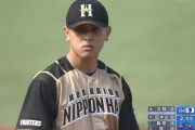 河野竜生（日）２回79球被安打７四球５奪三振０自責点９