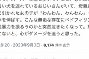 【悲報】アニメアイコンのツイフェミ、「犬と戯れる女児」を見ただけでダメージを負ってしまうｗｗｗｗｗ