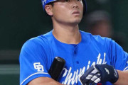 細川成也(?) .275(393-108) 17 66 OPS.820