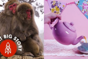 「猿が温泉に入ってるアニメ見たことある！」寒い季節のほっこりストーリー５選 海外の反応