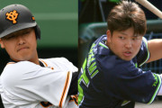 【悲報】村上岡本が抜けた来年以降のNPB各球団の生え抜き看板選手
