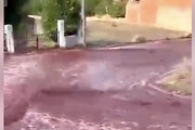 ポルトガルでワイン洪水が発生。タンク2基が破裂して220万リットルの赤ワインが流出。