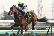 【競馬予想】毎日杯ってファンダムが勝つよね？【ネット反応まとめ】