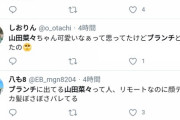 人類の戦犯山田菜々怒る「平気なふりしても1つの嬉しい言葉よりも1つの誹謗中傷の方が力はとてつもなく大きい?」