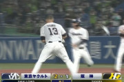 ヤクルト逆転サヨナラ勝ち！青木が同点タイムリーツーベース→最後はオスナが決めた！