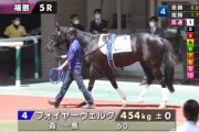 【土曜福島５R】フォイヤーヴェルクさん障害デビュー