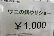 「ワニが太ってきたので…餌やりショーは、週一回のみとさせて頂きます」(深谷爬虫類館) #埼玉 |  爬虫類だけじゃなくてエミューもいるよ