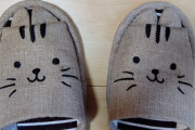 【画像】かわいい猫スリッパゲットした