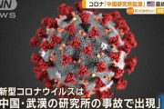 世界を破壊した新型コロナ、中国の研究所が起源だった