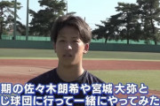 細野が「佐々木朗希や宮城と一緒にプレーしたい」って言ってるしロッテ細野指名ある？