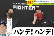 【悲報】山田遥楓、今季年俸1240万円からダウン提示