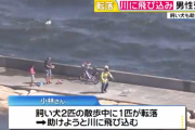飼い犬助けようと川に飛び込んだ男性死亡　飼い犬も助からず…