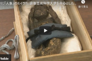【不老不死】岡山県にある寺院・円珠院が所蔵している「人魚のミイラ」を研究者らが分析開始…正体は？