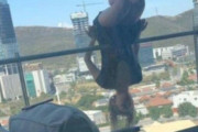 【メキシコ】マンションのベランダでヨガをしていた女性が25メートル下の地面に転落。110カ所の骨折をして重傷