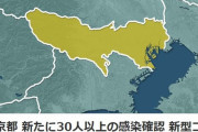 東京都、新たに30人以上の感染確認 新型コロナウイルス