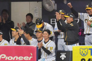 【悲報】プロ野球開幕に火種。「ベンチが3密」