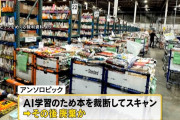 【悲報】アンソロピック、日本から57.8トン・11万5000冊分の古本を輸入してAIに無断学習、出版社「AI学習は許諾必要」