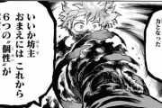 【僕のヒーローアカデミア】のデクが個性多数発現するなら轟と爆郷を・・・・・・・・・・・・・・・・