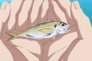 【悲報】アジさん、マジで釣れないｗｗｗｗ