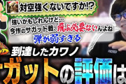 【悲報】ワイ「スト6新キャラきた！」プロ「こいつ弱w」配信者「プロさんが言ってたんでゴミすねw」視聴者「いらねーw」ワイ「…」←これ