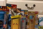 海外「日本の日焼け止めを買ってきた！」日本メーカーが作る日焼け止め（サンスクリーン）に対する海外の反応