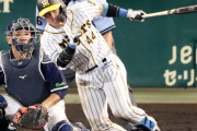 阪神梅野が攻守に存在感　規定到達で打率チーム首位