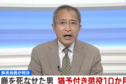 【奈良】自分の車に頭突きをしたシカに激怒したとび職の男性、シカを斧で叩き殺す→懲役１０ヶ月