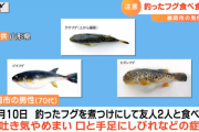 自分で釣ったフグを煮付けにして友人と食べた男性が食中毒