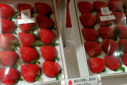 海外「美味しそう！」日本のイチゴ「あまおう」に海外興味津々！（海外の反応）