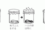 科学者（1668年）「ハエは自然発生してるのかどうか知りたいなあ………せや！」