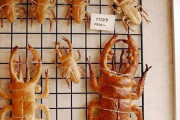 外国人が見つけた不穏で面白い食べ物集　日本のクワガタパンにも注目
