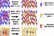 感染症専門医　集団免疫は期待できない？罹患後数ヶ月で抗体が陰性になるという報告をどう解釈すべきか  [7/4]