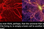 【速報】脳の神経組織と宇宙が似ていることが研究によって発見されるｗｗｗｗｗｗｗｗｗｗ