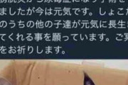 中川翔子、昔の他人の猫画像使用騒動でさらに炎上してしまうｗｗｗ
