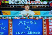 じゃあ聞くけど、たかみなと渋谷って馬鹿の振りしてるだけだよな？