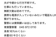 【悲報】妻「行方不明の夫、無言での帰宅となりました...」フォロワー「安心した！よかったです！」