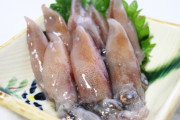 イッテQ、ホタルイカを海辺で獲ってそのまま食べるという企画をやり炎上  専門家「感染症で死ぬぞ」