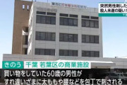 「包丁を持った女が暴れている」 男性を包丁で刺した33歳の女を現行犯逮捕　千葉市